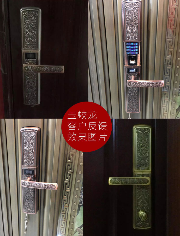 玉蛟龍智能門鎖 智能鎖防窺視輸入、半導(dǎo)體/光學(xué)指紋傳感器
