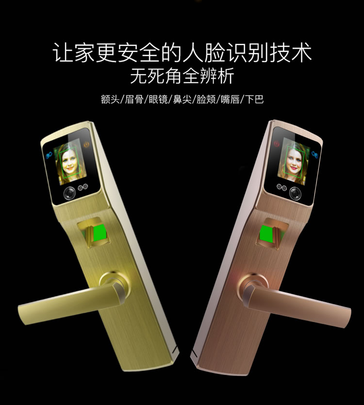 道思智能鎖 智能鎖(紅古銅)智能觸摸開機、持久耐用