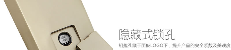 豪力士指紋鎖智能鎖 D3633F木門鐵門密碼鎖防盜門鎖 手機AAP感應電子鎖