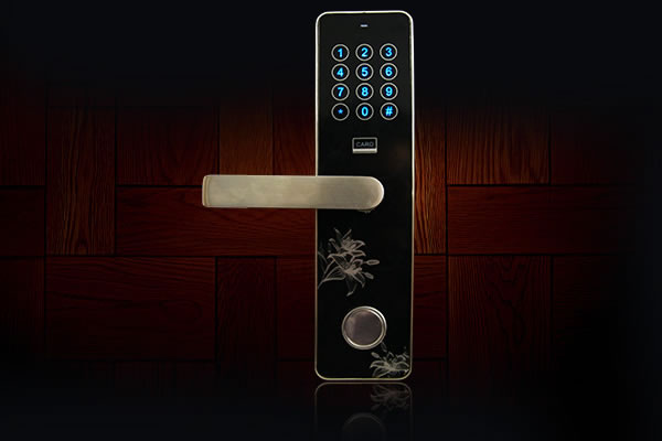 中國結(jié)指紋鎖 家用防盜門 智能鎖 電子密碼鎖 大門防盜鎖