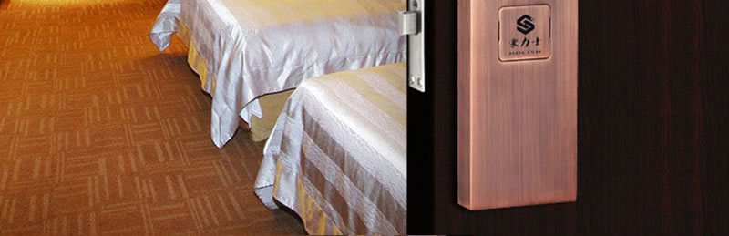 豪力士指紋鎖 D3310F家用防盜門智能鎖大門鎖電子鎖手機APP感應鎖密碼鎖