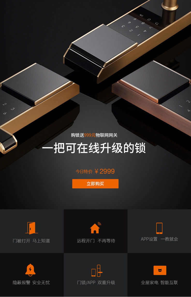 斑點(diǎn)貓指紋鎖 物聯(lián)網(wǎng)指紋鎖防盜電子密碼鎖