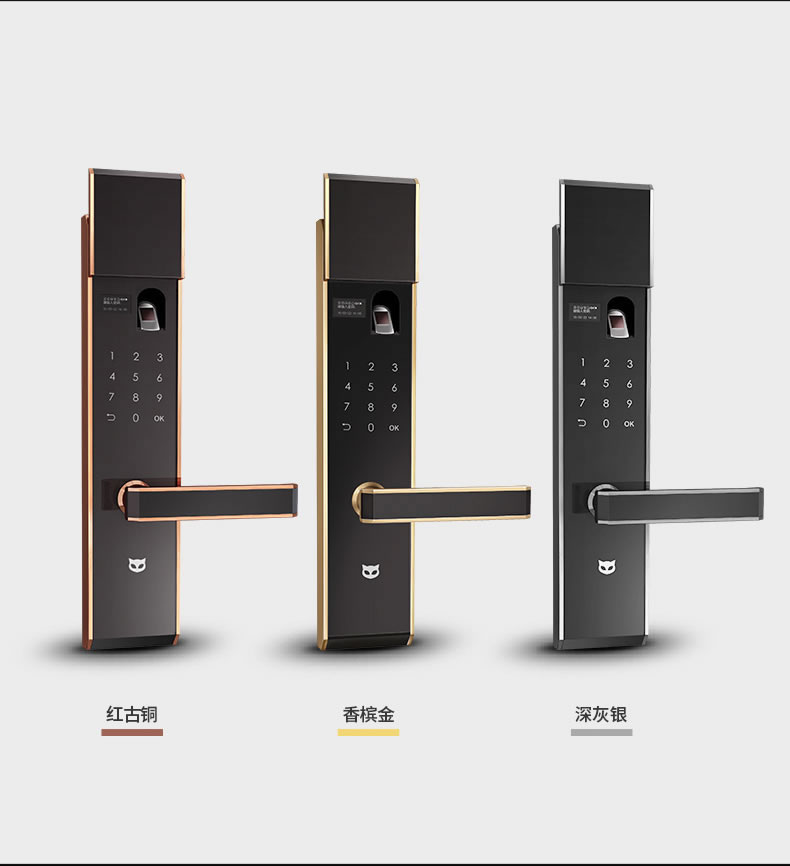 斑點(diǎn)貓指紋鎖 物聯(lián)網(wǎng)指紋鎖防盜電子密碼鎖