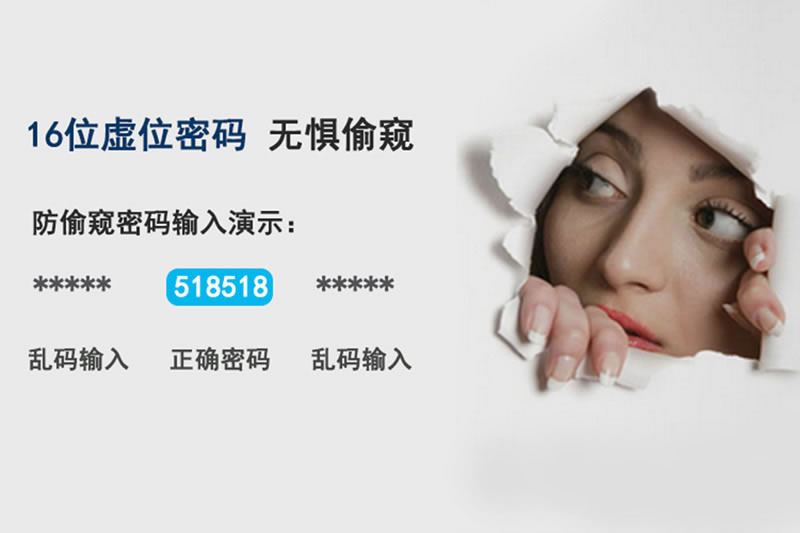 多特安全指紋鎖A6L-P 家用入戶門電子門鎖