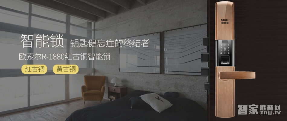 歐索爾智能鎖 智能鎖指紋鎖密碼鎖