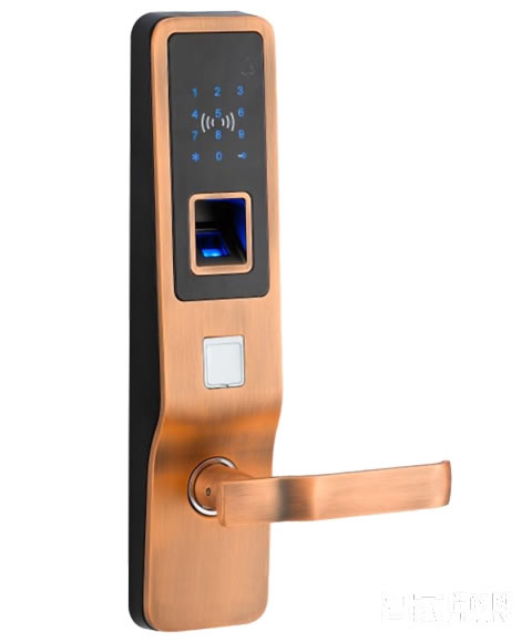 特安捷智能鎖 直板智能指紋密碼鎖 家用防盜門(mén)鎖