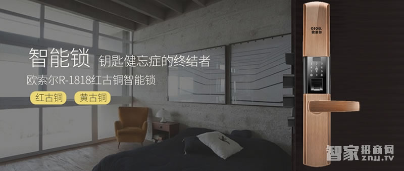 歐索爾智能鎖R1880 防盜門智能指紋鎖 家用刷卡鎖