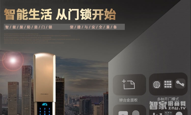 智能屋指紋鎖 家用智能鎖(香檳金)