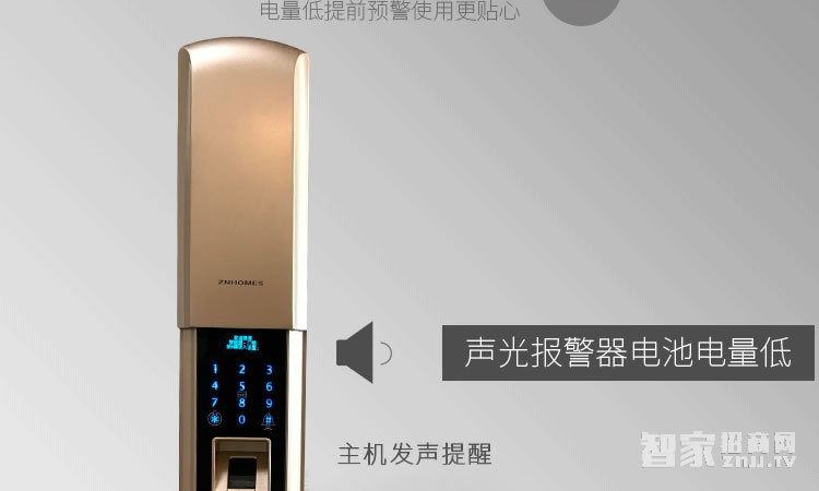 智能屋指紋鎖 家用智能鎖(香檳金)