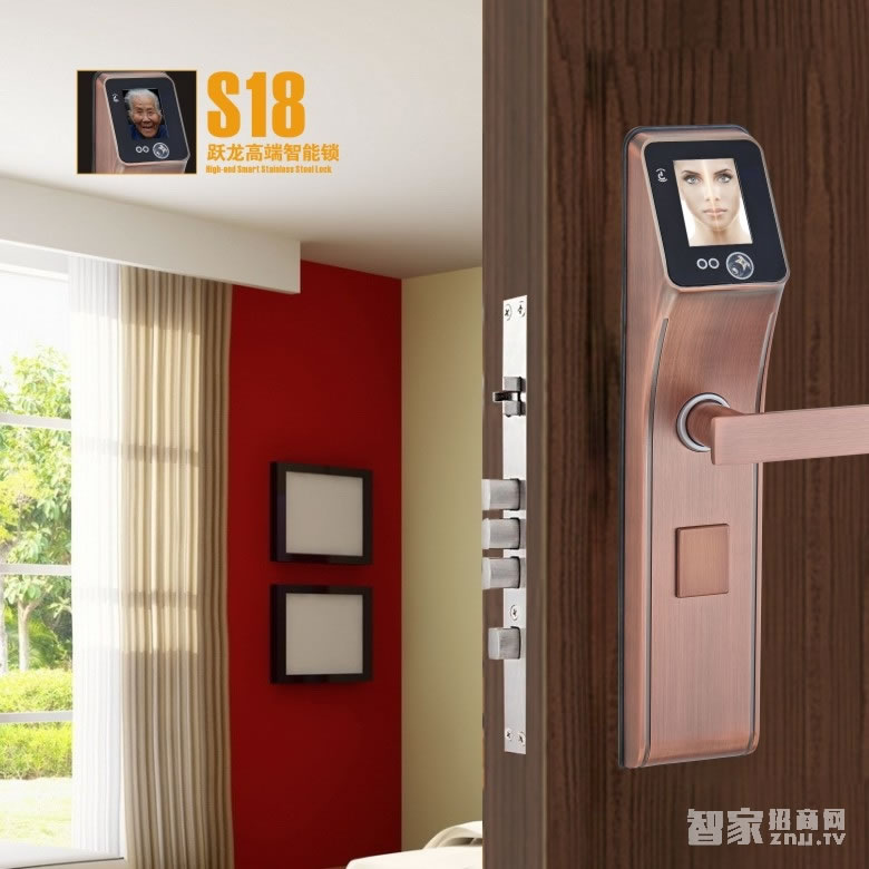 放龍科技智能鎖 人臉識(shí)別智能門鎖 家用入戶門防盜門鎖