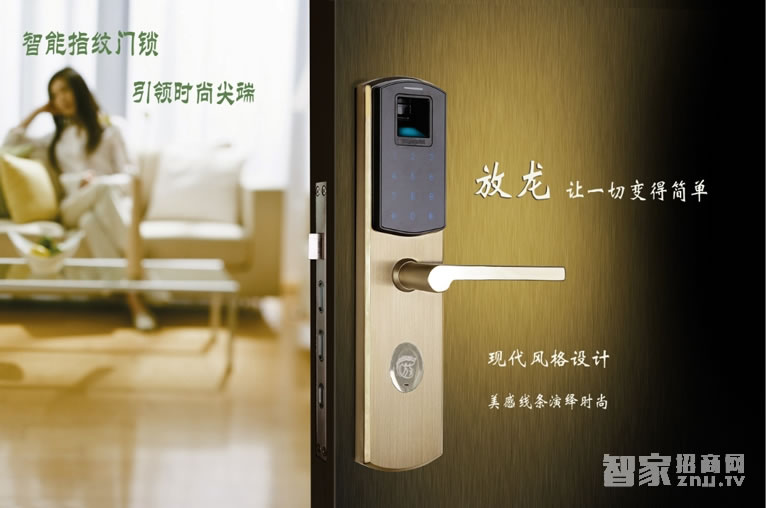 放龍科技智能鎖 別墅高端電子密碼鎖 家用入戶門指紋鎖
