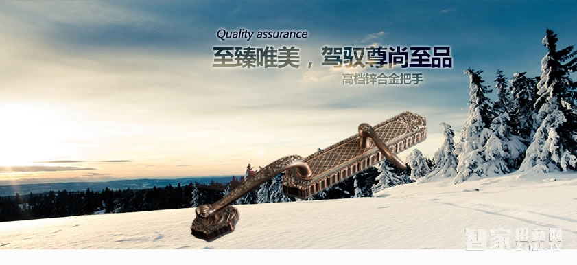 施肯洛克電子密碼鎖 家用大門(mén)智能鎖