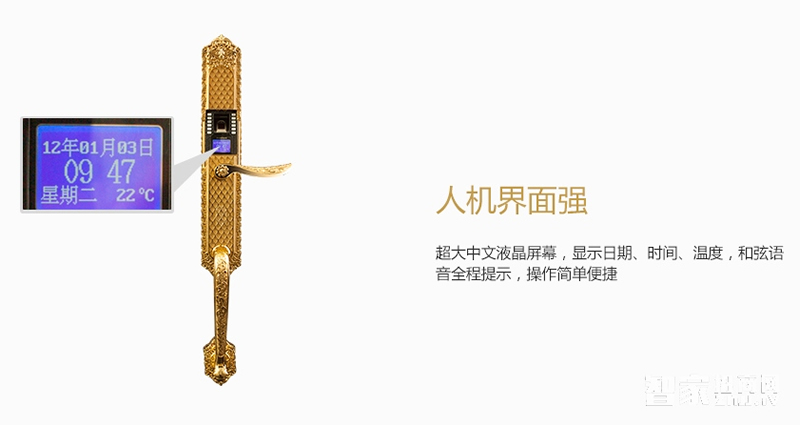 施肯洛克電子密碼鎖 家用大門(mén)智能鎖