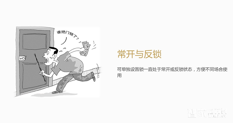 施肯洛克電子密碼鎖 家用大門(mén)智能鎖