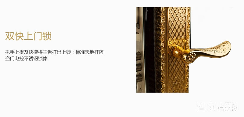 施肯洛克電子密碼鎖 家用大門(mén)智能鎖