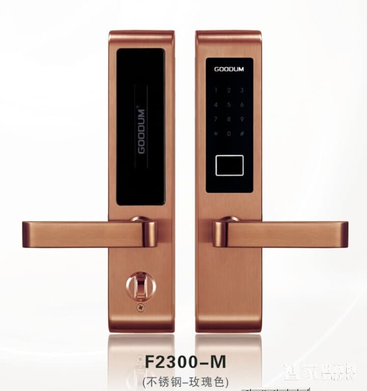 日日紅智能觸摸密碼鎖 家用電子感應智能鎖