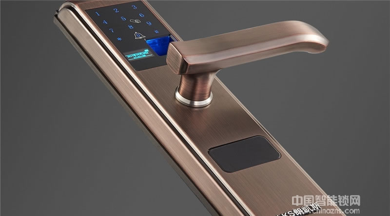 朗凱斯高性價比智能指紋鎖 辦公家用智能鎖