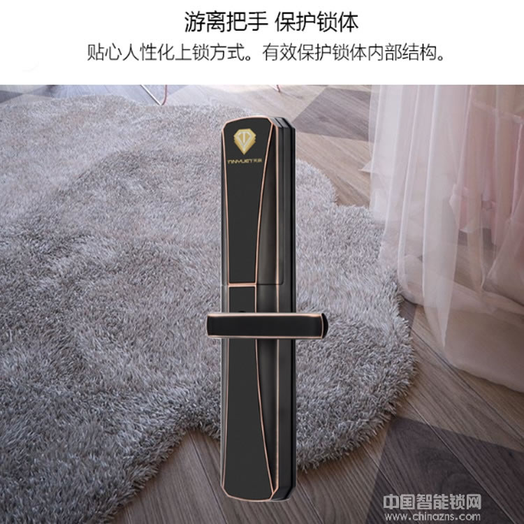 天玥指紋鎖 別墅公寓智能鎖 刷卡密碼鎖
