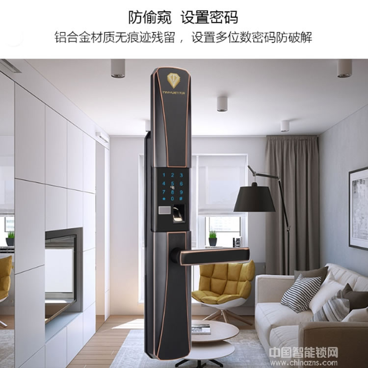 天玥指紋鎖 別墅公寓智能鎖 刷卡密碼鎖