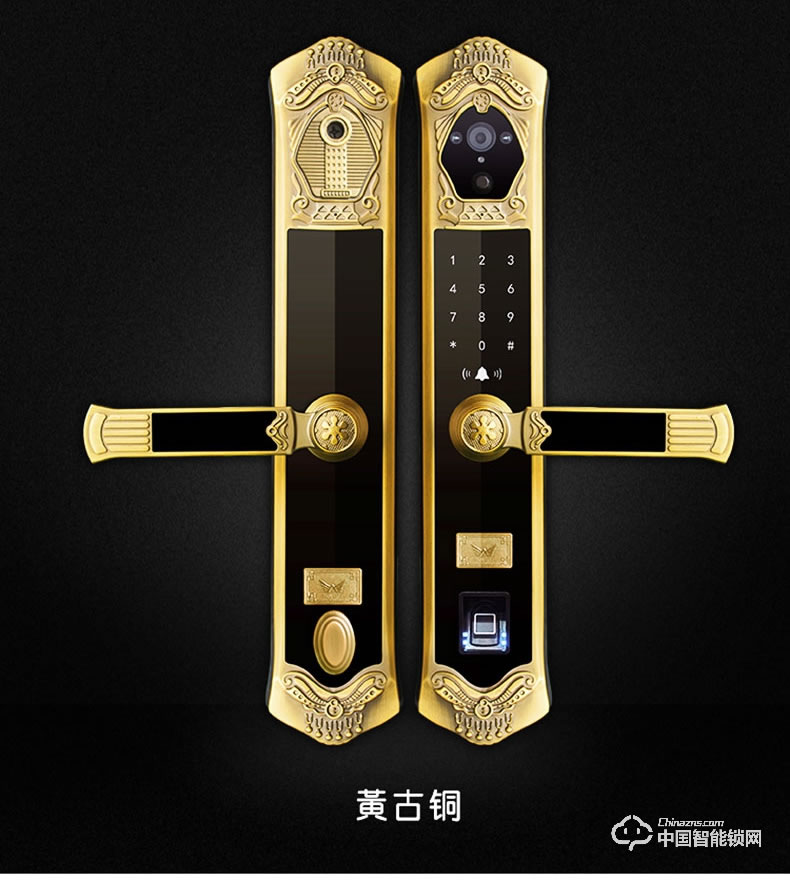 九萬里智能鎖J900 歐式指紋鎖家用防盜門高端別墅大門鎖