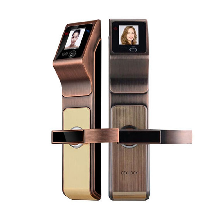 誠爾鑫人臉識別智能鎖 室內人臉識別鎖