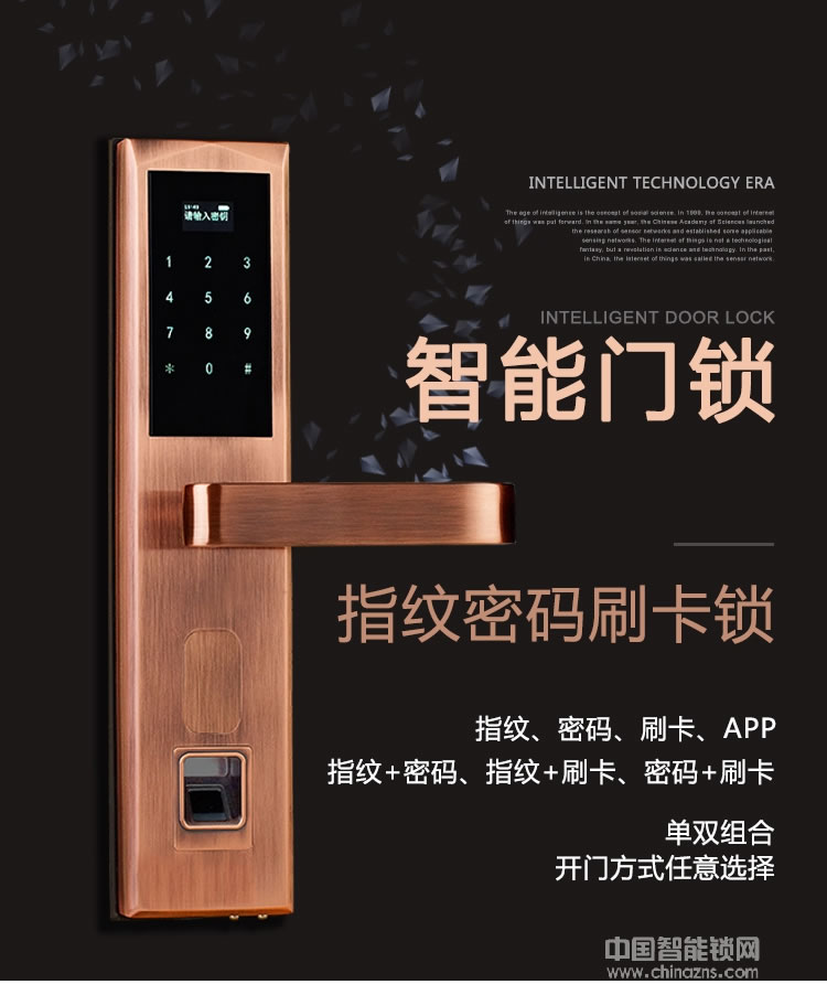 歐瑞酒店鎖 家用防盜門智能鎖 手機APP遠程電子感應鎖