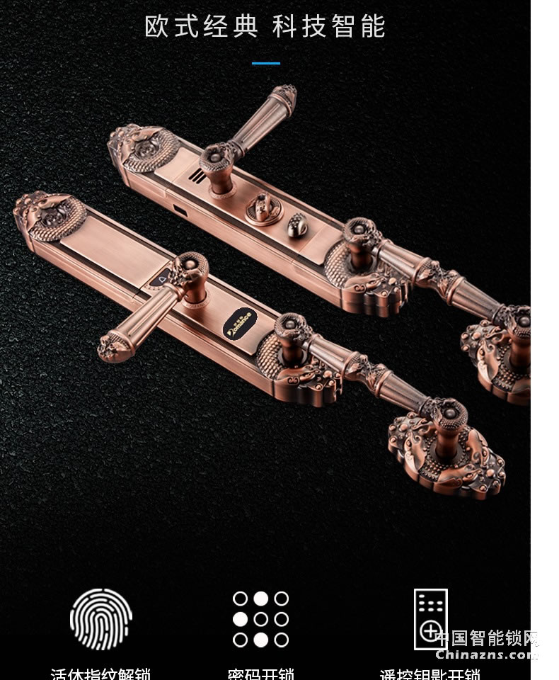 羅曼斯全自動(dòng)智能鎖DD2 家用防盜門(mén)指紋鎖密碼電子入戶(hù)門(mén)鎖