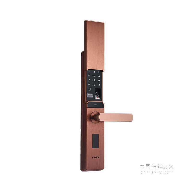 西巢電動(dòng)滑蓋指紋鎖 RSDXC-QS650 電子密碼門鎖