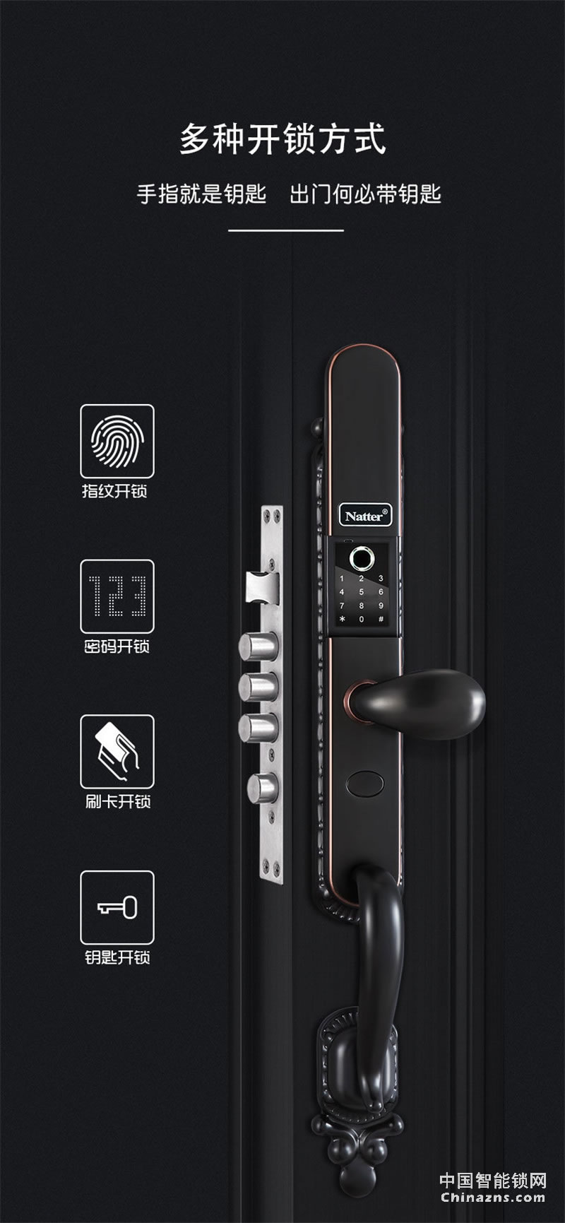 耐特別墅指紋鎖 豪華銅門N6