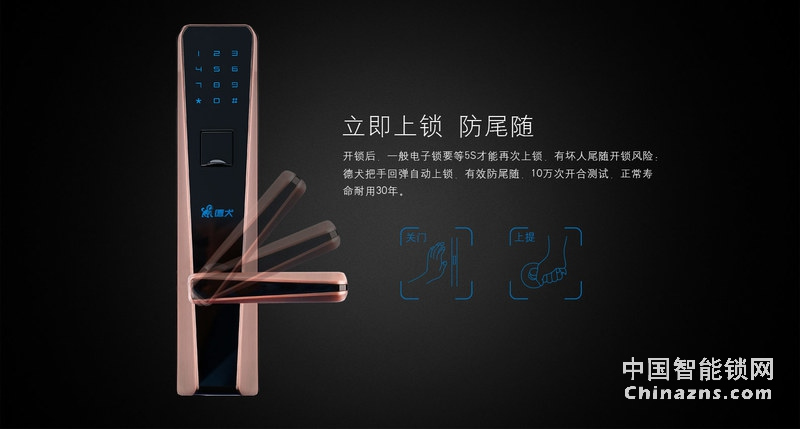 德犬簡(jiǎn)歐指紋密碼鎖DL0003 家用辦公室防盜門木門指紋鎖