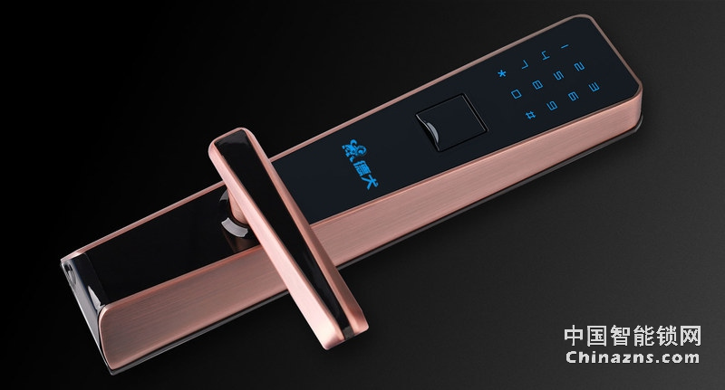 德犬簡(jiǎn)歐指紋密碼鎖DL0003 家用辦公室防盜門木門指紋鎖