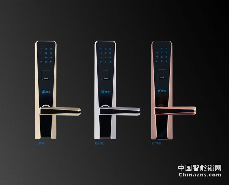 德犬簡(jiǎn)歐指紋密碼鎖DL0003 家用辦公室防盜門木門指紋鎖