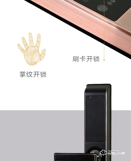 艾瑞斯智能鎖 人臉識(shí)別智能鎖 家用防盜密碼鎖