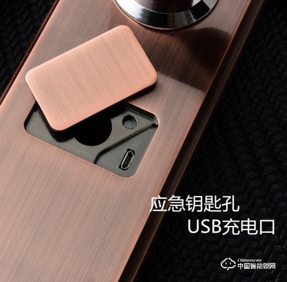 伊派爾指紋鎖 人臉識別掌靜脈指紋鎖家用防盜門鎖密碼鎖智能鎖