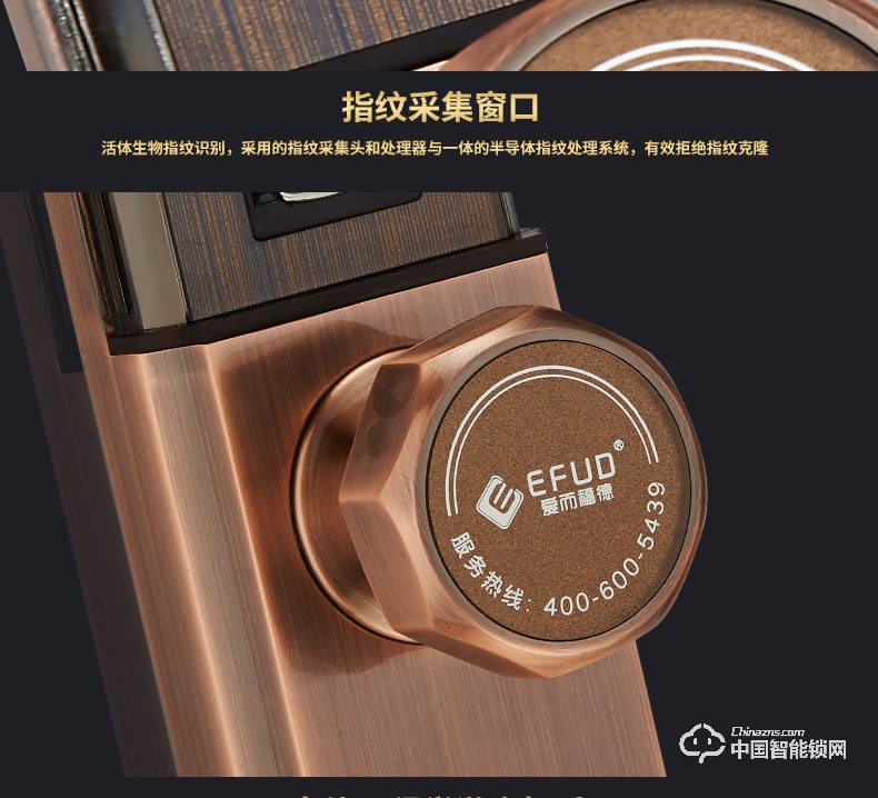 愛而福德指紋鎖 8038家用防盜門鎖智能電子鎖