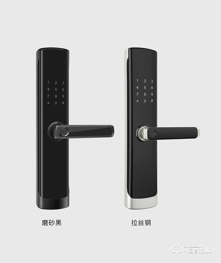 龍鎖天下智能鎖 智能鎖 指紋鎖 密碼鎖 防盜門鎖M08