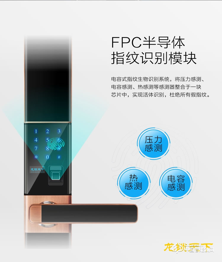 龍鎖天下智能鎖 智能鎖 指紋鎖 密碼鎖家用防盜門鎖電子鎖Z12