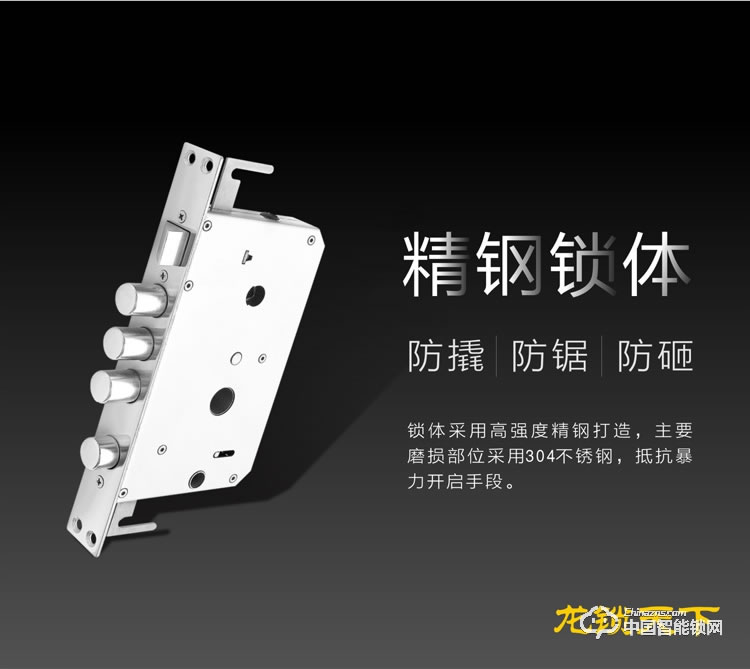 龍鎖天下智能鎖 智能鎖 指紋鎖 密碼鎖家用防盜門鎖電子鎖Z12