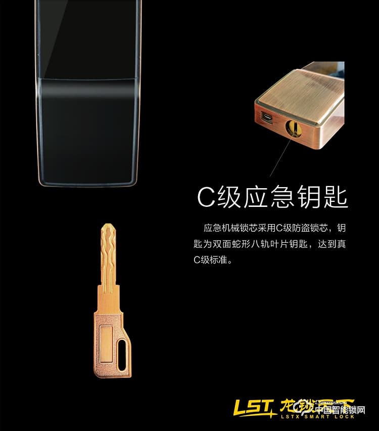 龍鎖天下智能鎖 指紋密碼鎖 防盜智能門鎖Q5