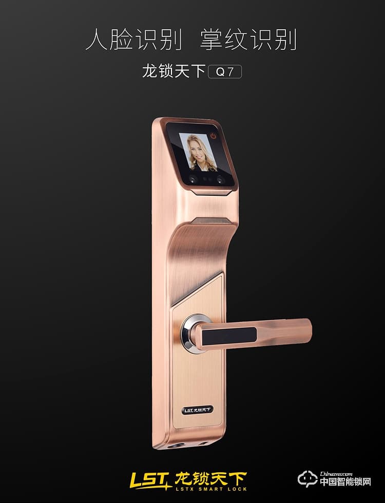 龍鎖天下智能鎖 人臉識別智能鎖 防盜門智能鎖Q7