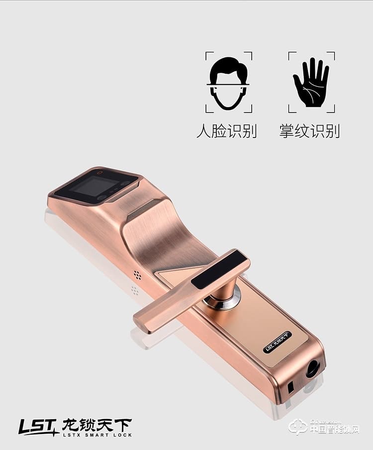 龍鎖天下智能鎖 人臉識別智能鎖 防盜門智能鎖Q7
