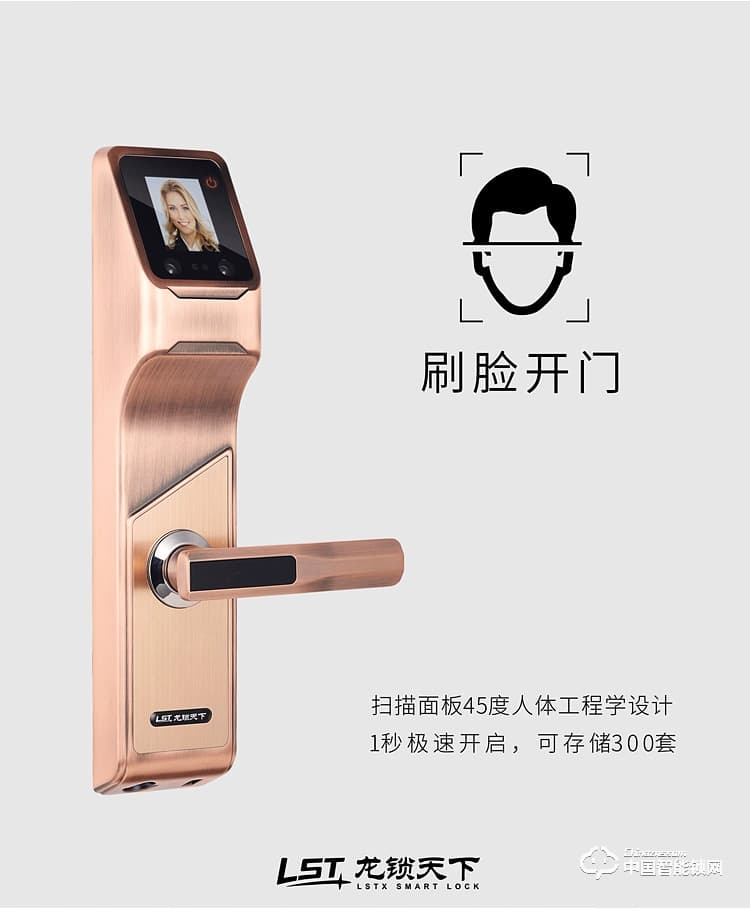 龍鎖天下智能鎖 人臉識別智能鎖 防盜門智能鎖Q7
