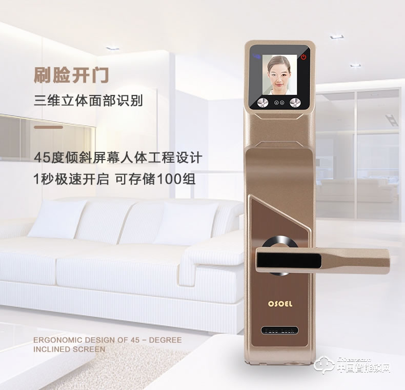 帝豐智能鎖 人臉識(shí)別智能鎖 家用電子密碼鎖