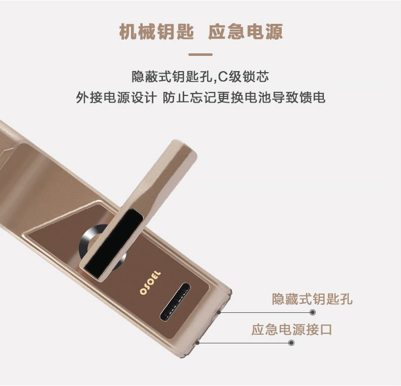 帝豐智能鎖 人臉識(shí)別智能鎖 家用電子密碼鎖