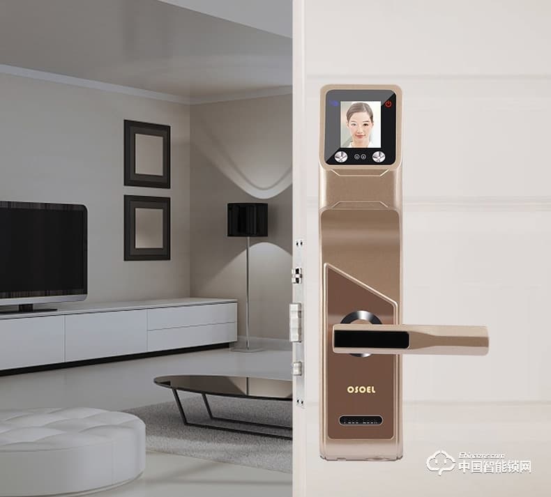 帝豐智能鎖 人臉識(shí)別智能鎖 家用電子密碼鎖