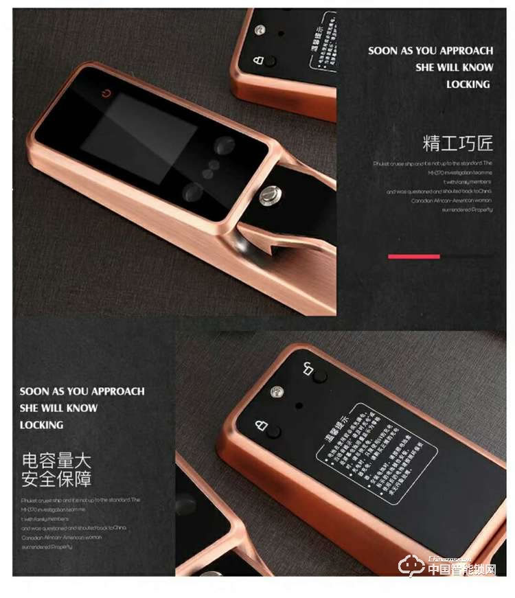 智得利智能鎖 人臉識(shí)別智能鎖 家用電子密碼鎖A-098