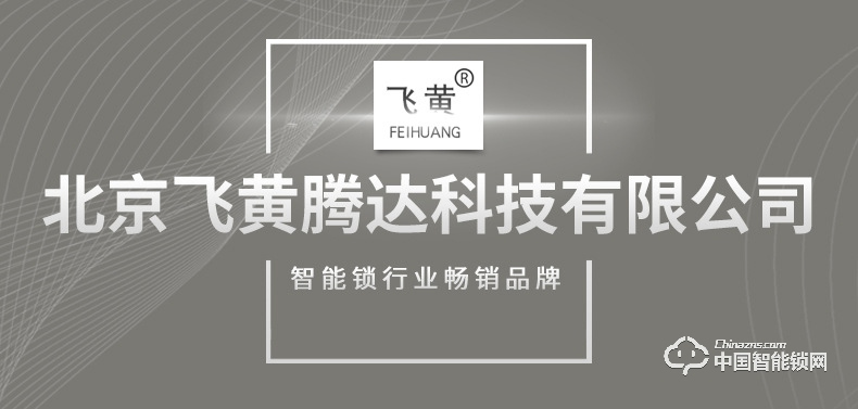 飛黃智能鎖 H2滑蓋密碼鎖智能鎖