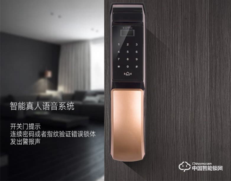 諾托智能鎖 全自動智能鎖人臉識別鎖