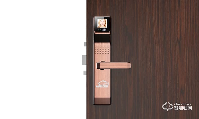吉斯盾智能鎖 LZ-R100面部識別掌紋識別紅外智能鎖