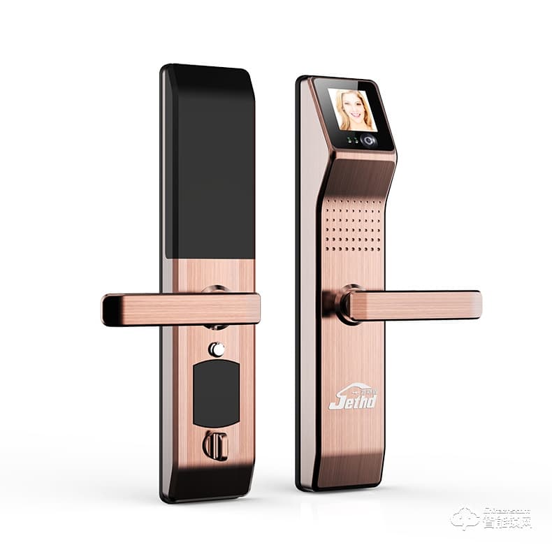 吉斯盾智能鎖 LZ-R100面部識別掌紋識別紅外智能鎖